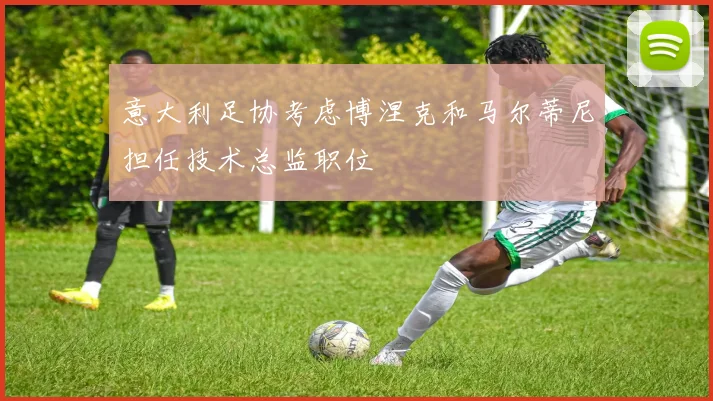 意大利足协考虑博涅克和马尔蒂尼担任技术总监职位